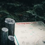 Exploring the National Parks by RV: A Beginner’s Guide